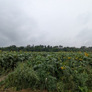 PXL_20240818_183750063.jpg